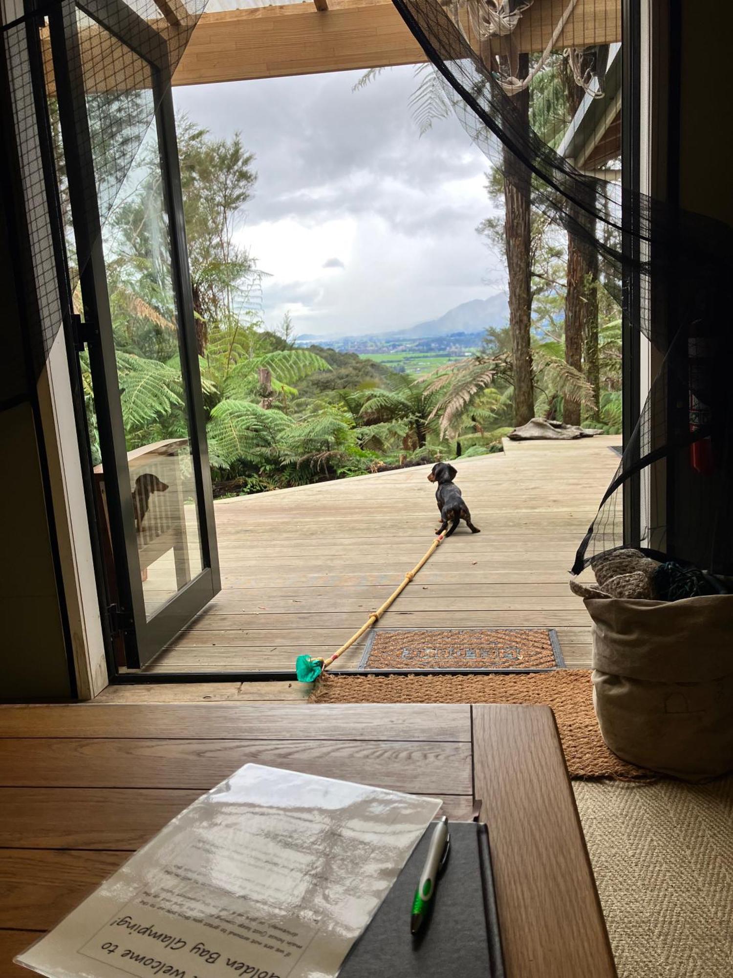 Golden Bay Glamping Hotel Takaka Ngoại thất bức ảnh